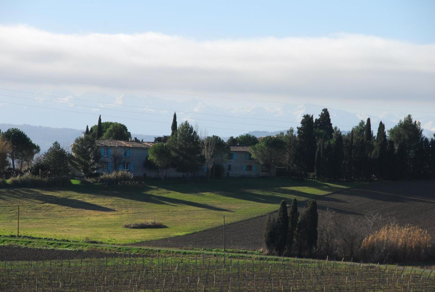 Вилла Domaine Saladry Villepinte  Экстерьер фото