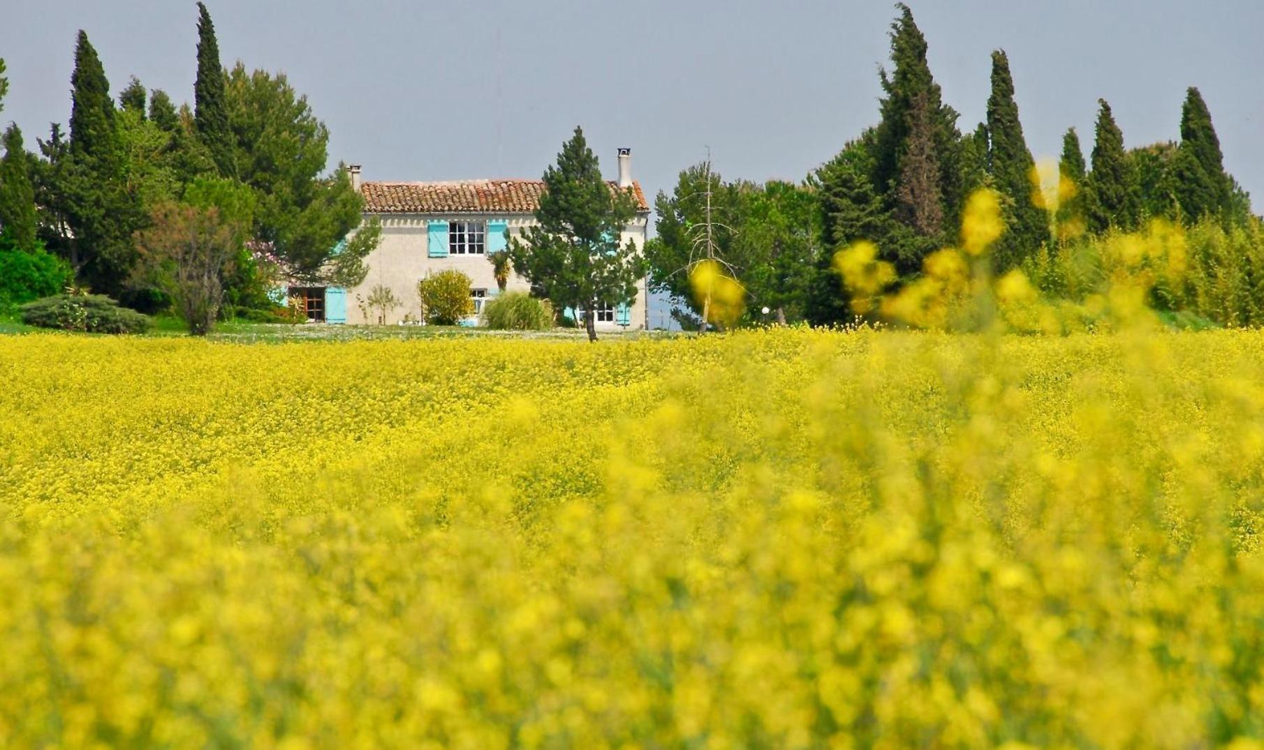 Вилла Domaine Saladry Villepinte  Экстерьер фото