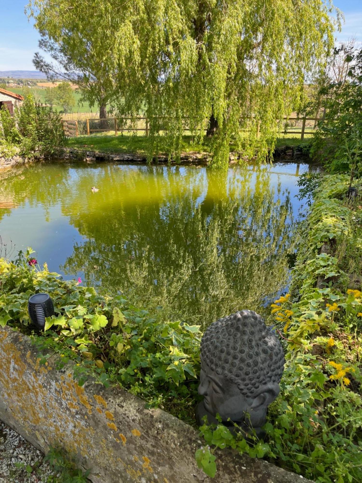 Вилла Domaine Saladry Villepinte  Экстерьер фото
