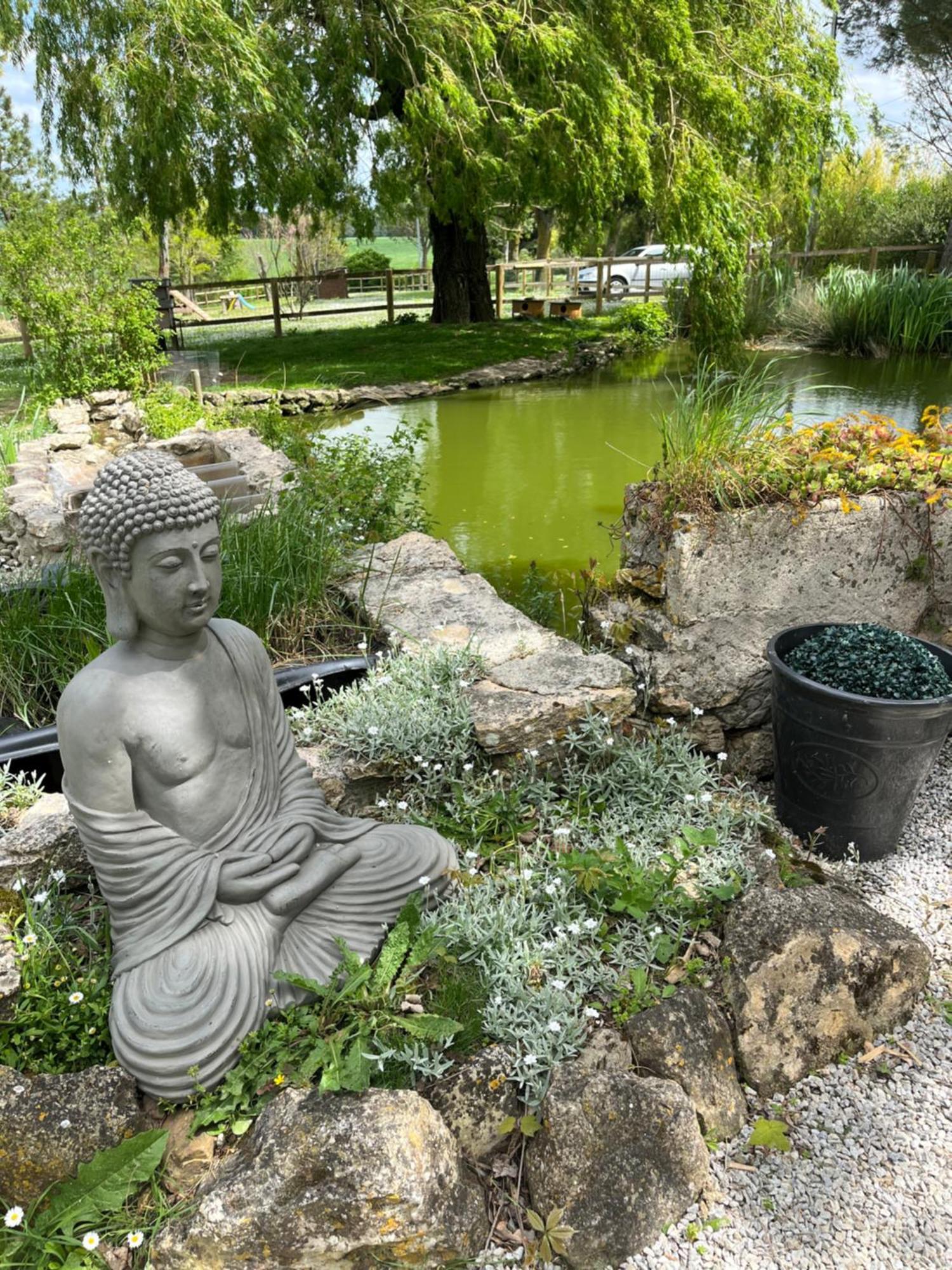 Вилла Domaine Saladry Villepinte  Экстерьер фото